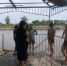 Безопасность на водоемах - Тарумовский район